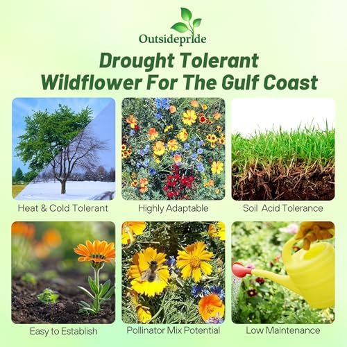 Outsidepride Gulf Coast Wildflower Seed Mix - 5 lbs Perennial & Annual Wild Flowers for Full Sun & Partial Shade - Ideal for Pollinator Gardens & Vibrant Landscapes for Southern Florida & Texas - Image 3