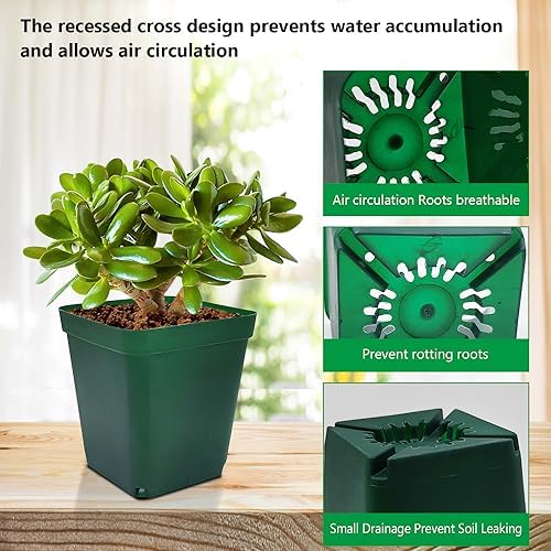 RooTrimmer Square Nursery Seedling Pot 3.5 Inches 90 Pcs, Small Nursery Pot Plastic Thick and Sturdy Seed Start Germination Pot for Plant Propagation and Seeding(Green,3.54 Inches, 90Pcs) - Image 4