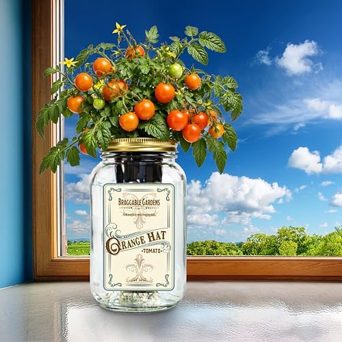 Orange Hat Micro Tomato Indoor Garden Kit – Mason Jar Hydroponic Tomato Grow Kit – Windowsill Countertop Tomato Planter – Grow Orange Cherry Tomatoes Indoors - Image 5