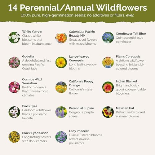 Eden Brothers North Dakota Wildflower Mixed Seeds for Planting, 1 oz - Image 3