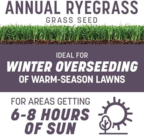 Pennington Annual Ryegrass, Grass Seeds for Lawn, 10 Lb - Image 2