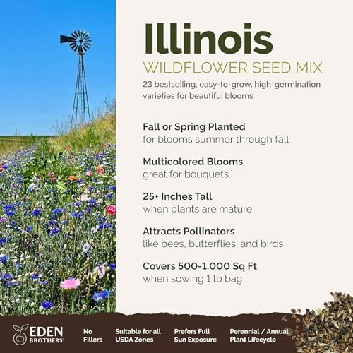 Eden Brothers Illinois Wildflower Mixed Seeds for Planting, 1 lb - Image 2