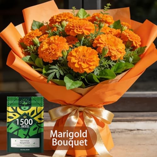 Orange Marigold Seeds for Planting, 1500 Flower Seeds, Pollinator-Friendly - Image 5