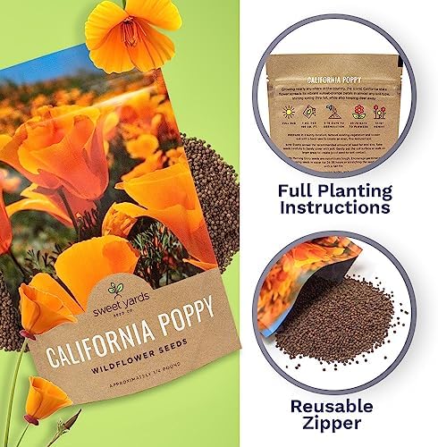 California Orange Poppy Wildflower Seeds - Bulk 1/4 Pound Bag - Over 80,000 Native Seeds - California State Flower! - Image 5