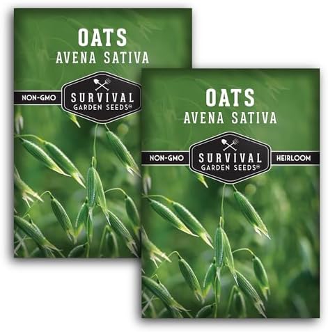 Oat Seeds for Planting - 2 Packs by SurvivalGardenSeeds