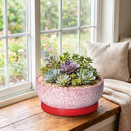 Bonsai Pots 10 Inch, Ceramic Succulent Planters, Texture Red - Image 4