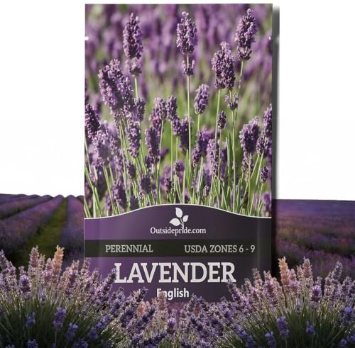 Outsidepride English Lavender Seeds - 5000 Pcs Perennial Herb by Outsidepride