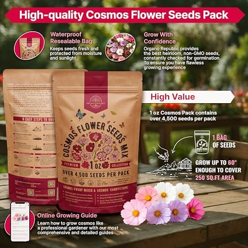 Cosmos Flower Seeds Pack 1 oz - 4,500 Non-GMO Heirloom Annual Seeds for Planting Indoor & Outdoor Gardening, Flower Seed for Garden in Resealable Packet, Floral Mix for Pollinators Perennial Mix - Image 2