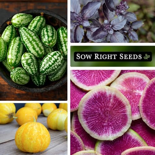 Sow Right Seeds - Rare Exotic Vegetable Seed Collection for Planting Garden - Image 3
