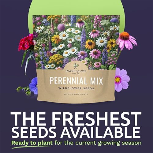 Perennial Wildflower Seeds Mixture - Bulk 1 Ounce Packet - Over 15,000 Pure Live Seed - Open Pollinated and Non GMO… - Image 2