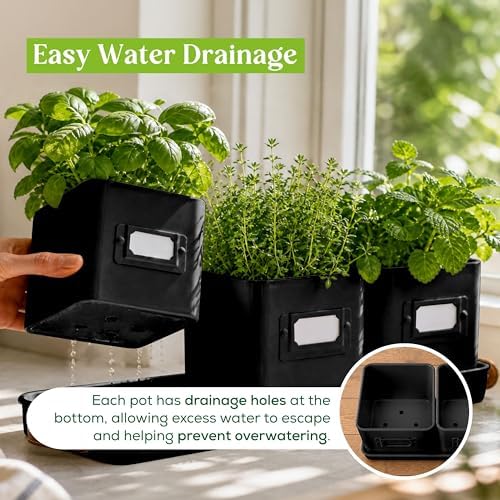 volila Herb Planter Indoor - Set of 3 Black Indoor Herb Garden Pots for Plants with Leather Handled Tray - Window Sill Plant Shelf - Herb Pots with Drainage Holes and Labels - Image 4