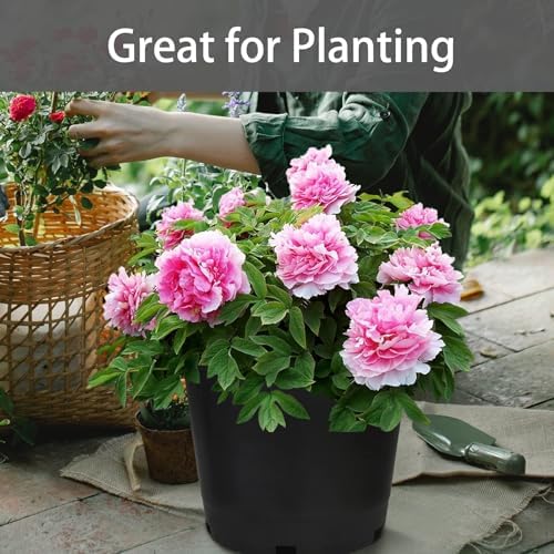 25 Gallon Nursery Pot 5-Pack 25 Gal Plastic Garden Planter Pots - Image 5