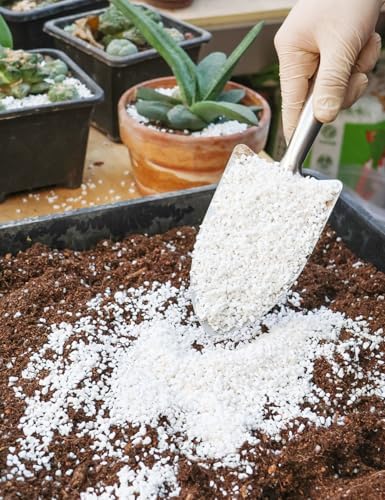 TOYPOPOR Perlite for Plants, 3-6mm Organic Perlite for Gardening, Perlite for Plants Indoor, Soil Additive Conditioner Mix Improve Drainage and Ventilation Promote Root Growth and Soil Health 1qt - Image 3