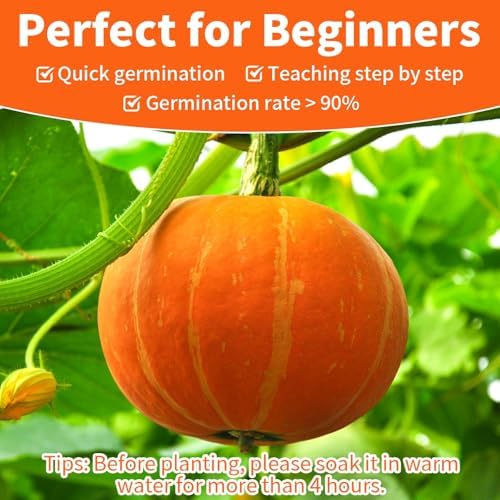 Mix Pumpkin Seeds for Planting 10 Variety, 100 Heirloom Vegetable Seeds - Image 3