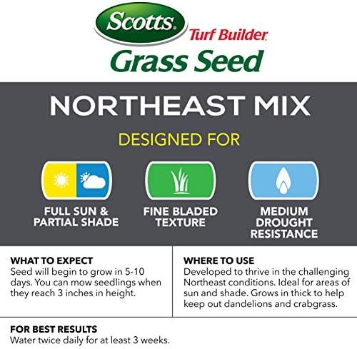 Scotts Turf Builder Grass Seed Northeast Mix, Crafted to Withstand Harsh Winters and Hot Summers, 3 lbs. - Image 2