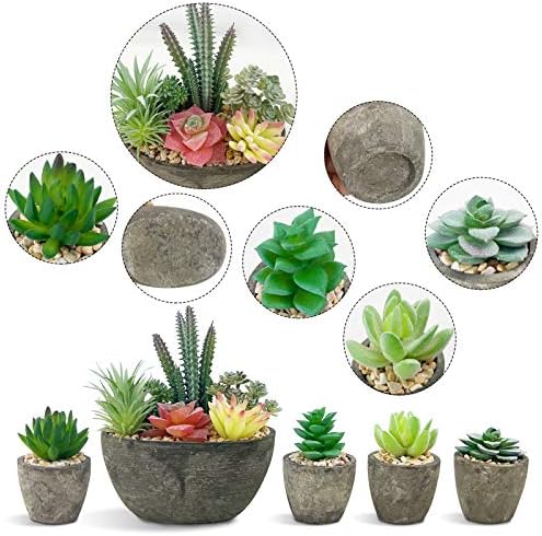 Succulents Plants Artificial Set of 5, Realistic Fake Succulents with Cement Like Pots for Home Office Decoration. - Image 3
