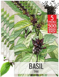 Seed Needs Thai Basil Seeds to Plant an Herb Garden - 5 Packs by SeedNeeds