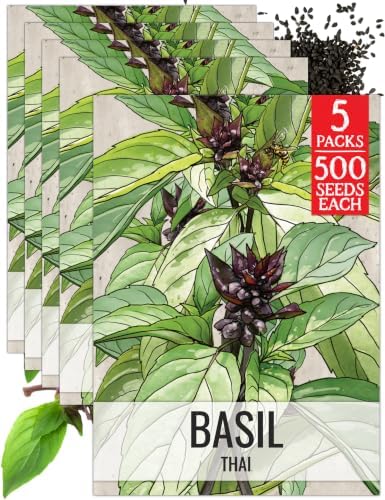 Seed Needs Thai Basil Seeds to Plant an Herb Garden - 5 Packs by SeedNeeds