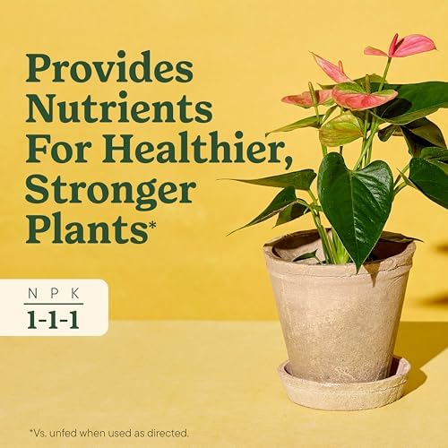 Miracle-Gro Indoor Plant Food for All Plants, 2 Count, 8 fl. oz. (Pack of 12) - Image 4