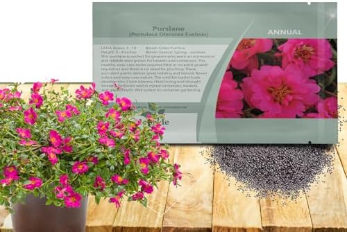 Outsidepride Fuchsia Purslane Seeds for Planting - 50 Pcs Annual, Easy to Grow, Vitamin-Rich & Drought Tolerant Succulent Seeds for Culinary, Xeriscaping, Containers & Hanging Baskets by Outsidepride