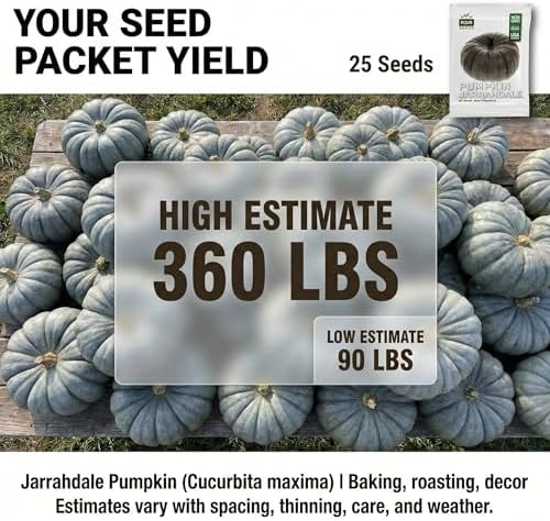 25 Jarrahdale Pumpkin Seeds for Planting - Heirloom Blue-Grey Pumpkin, Non-GMO, USA Grown - Cucurbita Maxima for Pies, Soups, Roasting & Fall Decor - Image 2