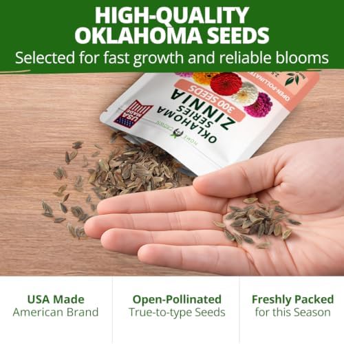 HOME GROWN Oklahoma Zinnia Seeds, 300 Seeds, Zinnia elegans - Image 7