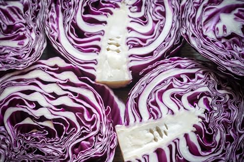 Red Acre Cabbage Seeds for Planting – Plant & Grow Heirloom Red Acre Cabbage in Home Outdoor Vegetable Garden, Brassica oleracea VAR. capitata– 5 Packets - Image 7