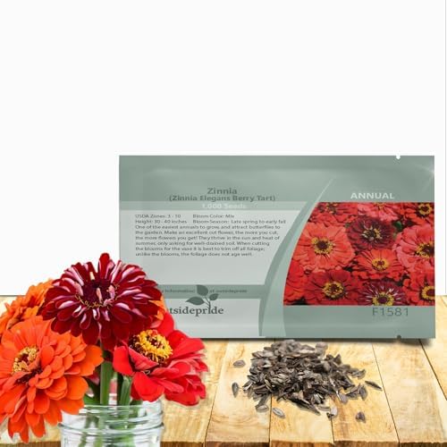 Outsidepride Berry Tart Zinnia Seeds - 1000 Pcs Annual, Heat & Drought Tolerant Flower Seeds for Planting w/Vibrant Blooms for Pollinator Gardens & Floral Arrangements by Outsidepride