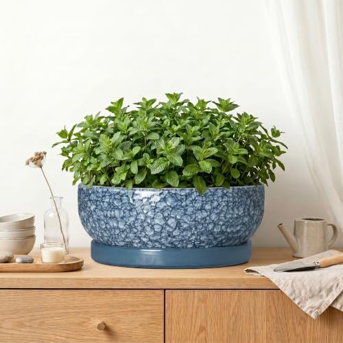 Bonsai Pots 13 Inch, Ceramic Succulent Planter with Tray, Scale Blue - Image 6