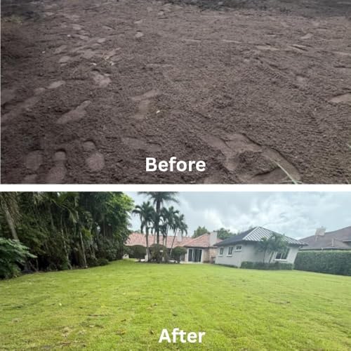 20000 Zoysia Emerald Grass Seeds, Emerald Zoysia Grass for Garden - Image 5