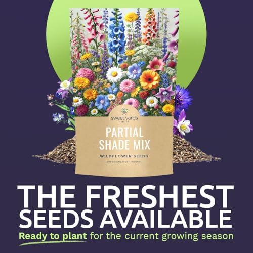 Bulk Wildflower Seeds Partial Shade Mix - 1 Pound Bag Over 120,000 Open Pollinated Annual and Perennial Seeds - Image 2