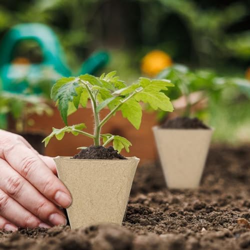 Aulock 36 Sets Plant Nursery Pots with Humidity Dome - 3in Seed Starting Pots, Square Peat Pots with 100 Labels for Garden Flowers Herbs Vegetables Seedlings - Image 6