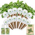 Genoese Basil Seed Pod Kit, 12-Pods Hydroponic Refill Pack, Compatible with AeroGarden and All Indoor Gardens, Includes Grow Sponges, Plant Food, Grow Anything Seed Pod Kit, 12-POD by Hreblink