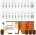 BUZZY Seeds Lavender Grow Kit 20-Pack, Mini Terracotta Pots, Bulk Favors by BUZZY