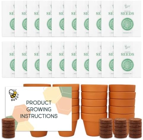 BUZZY Seeds Lavender Grow Kit 20-Pack, Mini Terracotta Pots, Bulk Favors by BUZZY