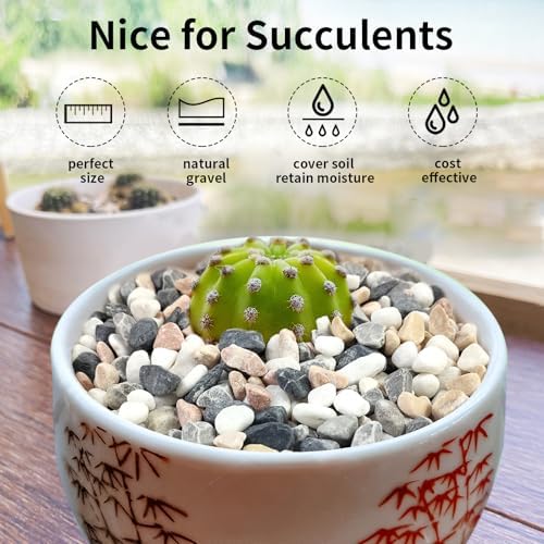 FANTIAN 2 lbs Succulent and Cactus Pebbles Rocks, 3/8 Inch Aquarium Gravel - Image 4