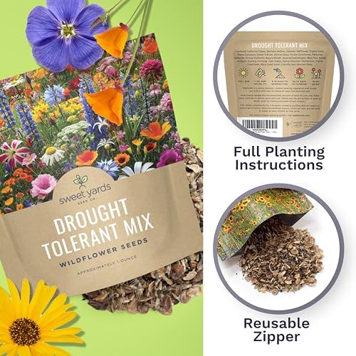 Drought Tolerant Wildflowers Mix – Extra Large Packet – Over 7,500 Open Pollinated Non-GMO Seeds – 21 Different Dryland Species (Pack of 3) - Image 5
