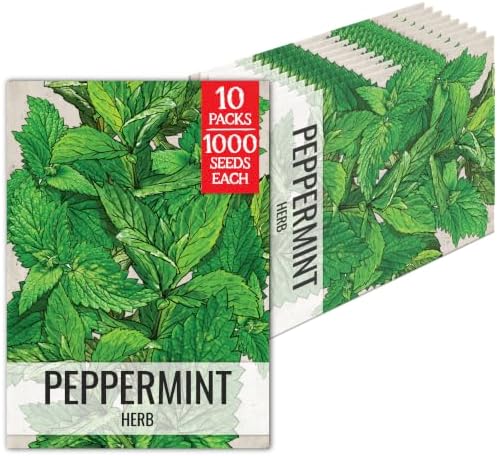 Seed Needs Peppermint Seeds to Plant an Herb Garden - 10 Packs by SeedNeeds