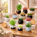 Remerry 18 Pcs Ceramic Small Succulent Pots 2.5 in with Drainage Bamboo by Remerry