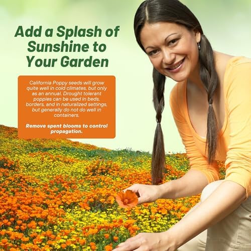 Outsidepride Eschscholzia Orange California Poppy Seeds - 1 lb. Annual, Native, Drought Tolerant Wildflower Seeds w/Vibrant Blooms for Full Sun & Drought-Tolerant Pollinator-Friendly Gardens - Image 6
