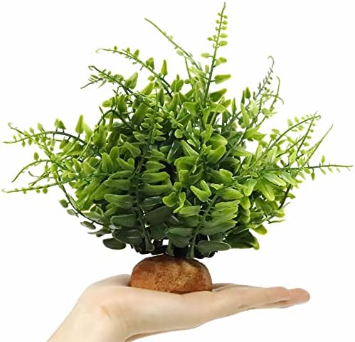 Green Boston Fern Reptile Plants, Amphibian Terrarium Habitat Décor - Image 3