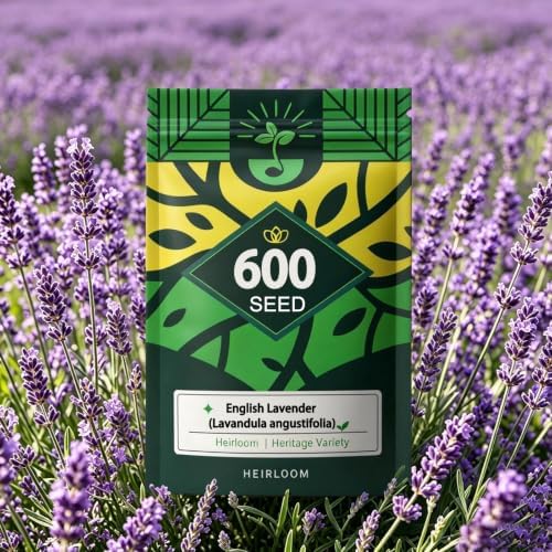 English Lavender Seeds, Fragrant Perennial Herb Lavandula, Easy to Grow by Unknown