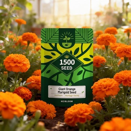 Orange Marigold Seeds for Planting, 1500 Flower Seeds, Pollinator-Friendly by Unknown