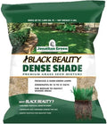 Jonathan Green 40600 Dense Shade Grass Seed, 3 lb by JonathanGreen