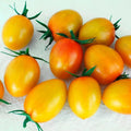 Park Seed Cherry Tomato Seeds, Planting Vegetables, Easy to Grow, Non-GMO, Variety of Colors and Sizes, Spring Garden, Sunset Torch, Pack of 10 by ParkSeed