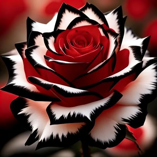Rose Flower Seeds for Planting, 280+ Mixed Rose Seeds, Perennial Flowers, Non-GMO Heirloom Bush Vine Seed for Garden Bonsai - Image 4