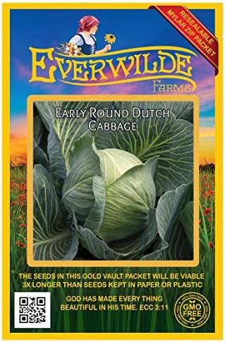 500 Early Round Dutch Cabbage Seeds - Gold Vault Jumbo Seed Packet by Everwilde+Farms