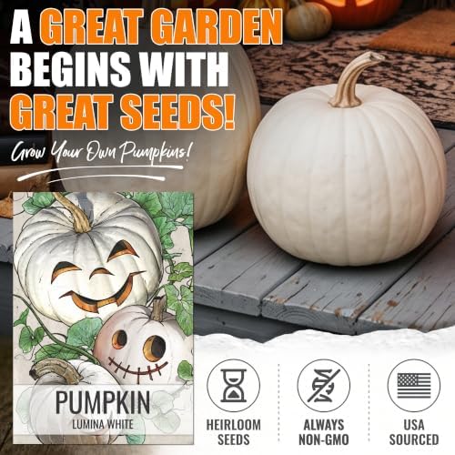 Seed Needs Lumina White Pumpkin Seeds to Plant Vegetables - 20 Packs - Image 2