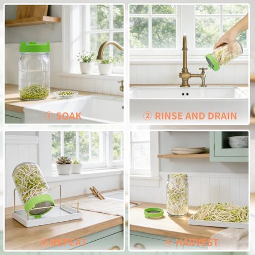 Seed Sprouting Jar Kit with Mung Beans 2.9oz-2 Jars - Image 4