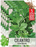 Seed Needs Slow Bolt Cilantro Seeds to Plant an Herb Garden - 5 Packs by SeedNeeds